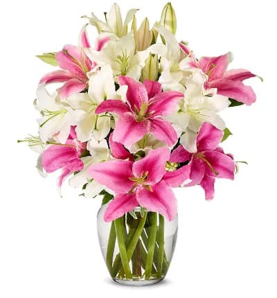 * Pink Lilies
* White Lilies