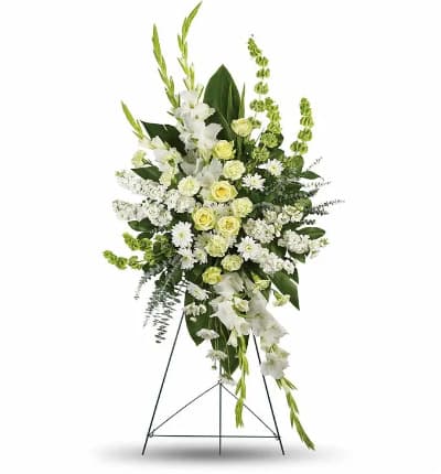 Express your sympathies and send a gracious note to a service or memorial with this beautiful white standing spray. This arrangement is a thoughtful way to send your condolences to friends or family who recently lost a loved one. Same day delivery is available. The standing sympathy spray is created by a florist including green roses, green carnations, white gladioli, white stock, bells of ireland, green ti leaves, lemon leaf and more. Dimensions: Approx. 29 W x 58 1/2 H

Includes:
* Green Roses
* Green Carnations
* White Gladioli
* White Chrysanthemums
* Bells of Ireland
* Green Ti Leaves
* Standing Spray Design