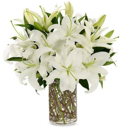 * White Lilies
* Clear Glass Cylinder
* Curly Willow