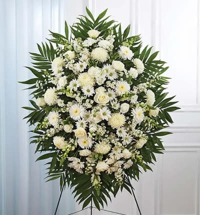 A beautiful white floral standing spray arranged by a local florist for hand delivery, to send your thoughts of care and concern. Created with seasonal white flowers including roses, snapdragons, carnations and football mums. This sympathy standing spray is arranged on a wire stand and is a perfect gift to send to a family member or friend who recently lost a loved one. Delivery today is available. Medium (shown) measures approximate 46