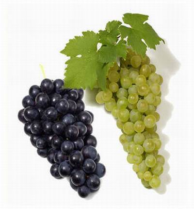 Grape Set. 1 green grapes and 1 purple grapes.